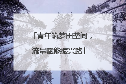 青年筑梦田垄间，流量赋能振兴路