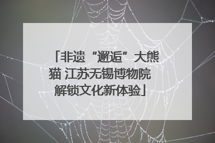 非遗“邂逅”大熊猫 江苏无锡博物院解锁文化新体验