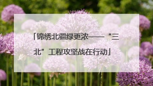 锦绣北疆绿更浓——“三北”工程攻坚战在行动