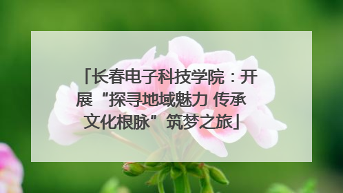 长春电子科技学院：开展“探寻地域魅力 传承文化根脉”筑梦之旅