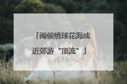 闽侯绣球花海成近郊游“顶流”