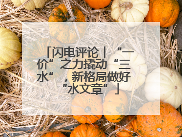 闪电评论丨“一价”之力撬动“三水”，新格局做好“水文章”