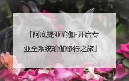 阿底提亚瑜伽-开启专业全系统瑜伽修行之旅
