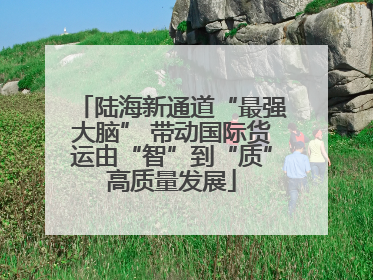 陆海新通道“最强大脑” 带动国际货运由“智”到“质”高质量发展