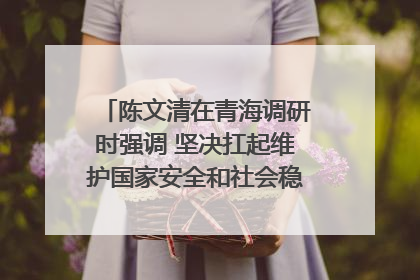 陈文清在青海调研时强调 坚决扛起维护国家安全和社会稳定职责使命 为谱写中国式现代化青海篇章贡献政法力量