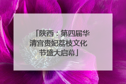 陕西：第四届华清宫贵妃荔枝文化节盛大启幕