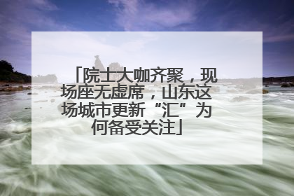 院士大咖齐聚，现场座无虚席，山东这场城市更新“汇”为何备受关注