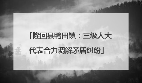 隆回县鸭田镇：三级人大代表合力调解矛盾纠纷