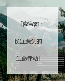 隆宝滩：长江源头的生命律动