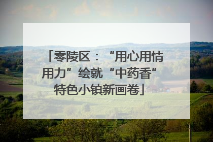零陵区：“用心用情用力”绘就“中药香”特色小镇新画卷
