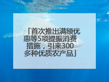 首次推出满额优惠等5项提振消费措施，引来300多种优质农产品