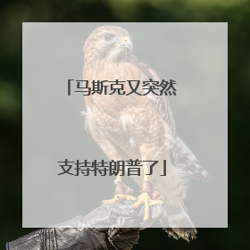 马斯克又突然支持特朗普了