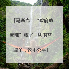马斯克：“政府效率部”成了一切的替罪羊，这不公平