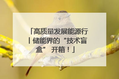 高质量发展能源行丨储能界的“技术盲盒” 开箱！