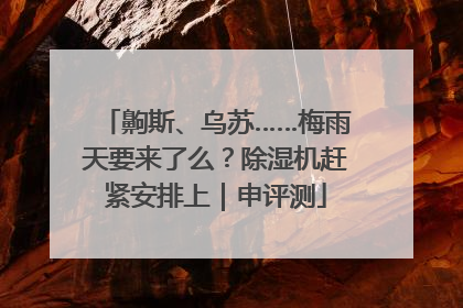齁斯、乌苏……梅雨天要来了么？除湿机赶紧安排上｜申评测