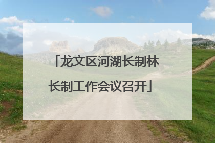 龙文区河湖长制林长制工作会议召开