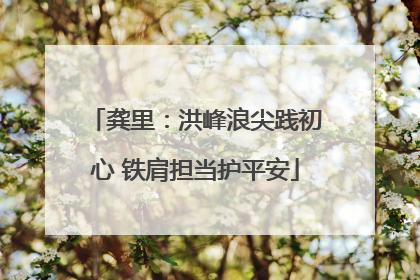龚里：洪峰浪尖践初心 铁肩担当护平安