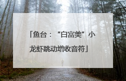 鱼台：“白富美”小龙虾跳动增收音符