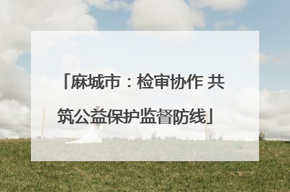 麻城市：检审协作 共筑公益保护监督防线