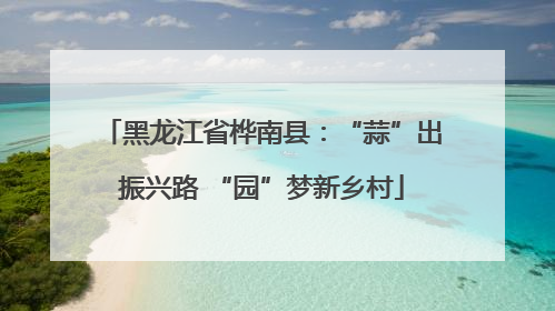 黑龙江省桦南县：“蒜”出振兴路 “园”梦新乡村