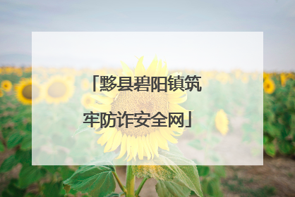 黟县碧阳镇筑牢防诈安全网