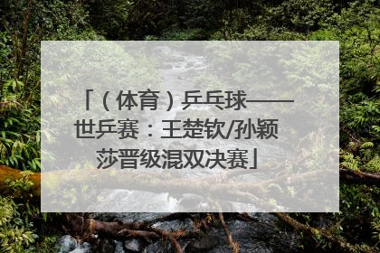 （体育）乒乓球——世乒赛：王楚钦/孙颖莎晋级混双决赛