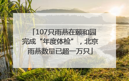 107只雨燕在颐和园完成“年度体检”，北京雨燕数量已超一万只