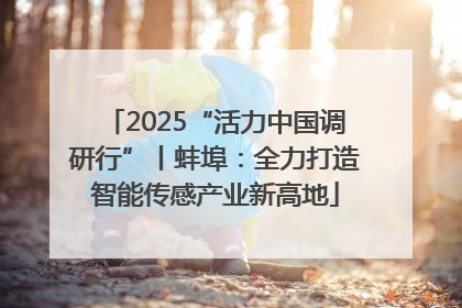 2025“活力中国调研行”丨蚌埠：全力打造智能传感产业新高地