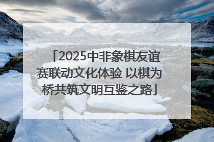 2025中非象棋友谊赛联动文化体验 以棋为桥共筑文明互鉴之路