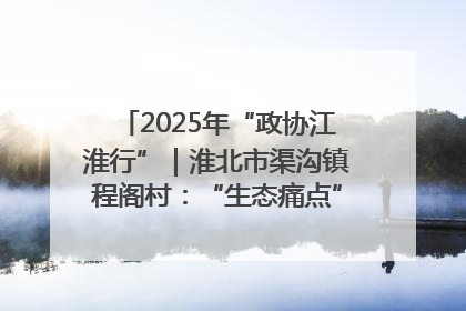 2025年“政协江淮行”｜淮北市渠沟镇程阁村：“生态痛点”变“生态景观”