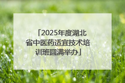 2025年度湖北省中医药适宜技术培训班圆满举办