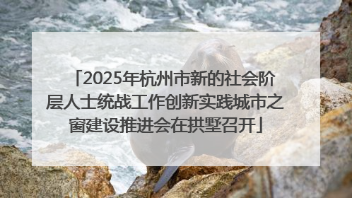 2025年杭州市新的社会阶层人士统战工作创新实践城市之窗建设推进会在拱墅召开