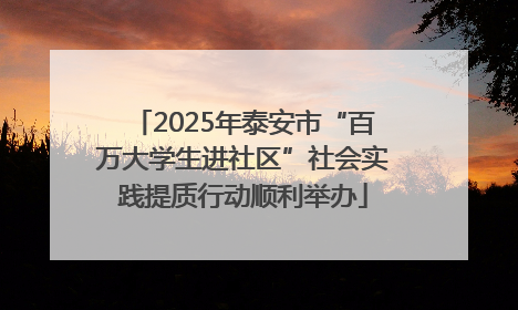 2025年泰安市“百万大学生进社区”社会实践提质行动顺利举办