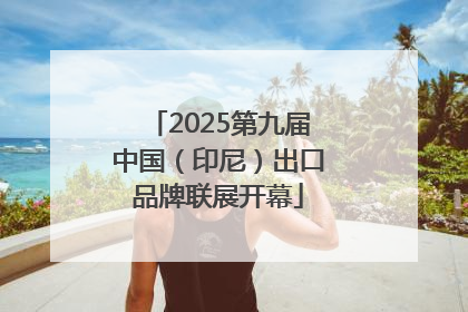 2025第九届中国（印尼）出口品牌联展开幕
