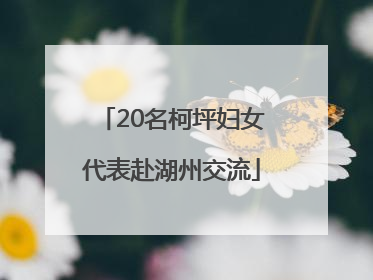 20名柯坪妇女代表赴湖州交流