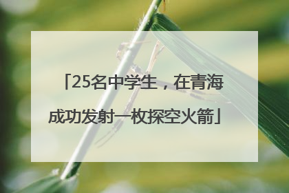25名中学生，在青海成功发射一枚探空火箭