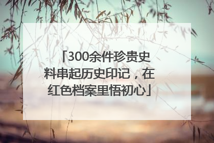 300余件珍贵史料串起历史印记，在红色档案里悟初心
