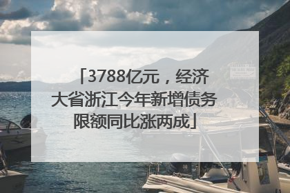3788亿元，经济大省浙江今年新增债务限额同比涨两成