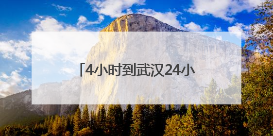 4小时到武汉24小时达新疆，京东助广东荔枝“鲜”到全国