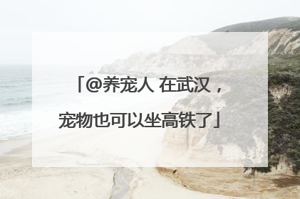 @养宠人 在武汉，宠物也可以坐高铁了