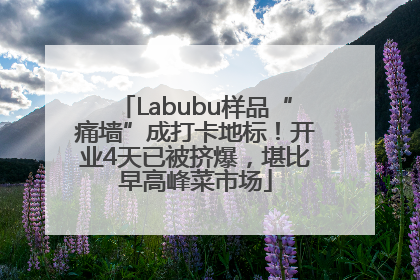 Labubu样品“痛墙”成打卡地标！开业4天已被挤爆，堪比早高峰菜市场
