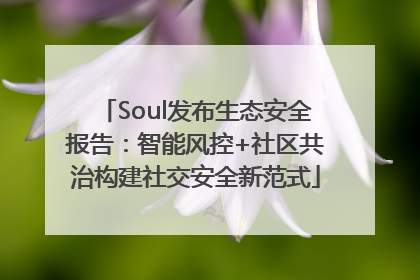 Soul发布生态安全报告：智能风控+社区共治构建社交安全新范式